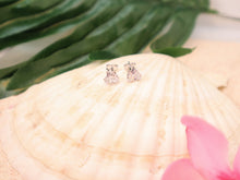 Load image into Gallery viewer, Nova Studs