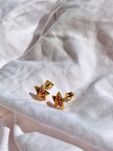Load image into Gallery viewer, Starfish Studs