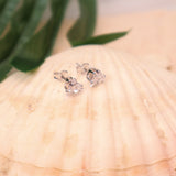 Nova Studs