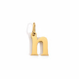 Letter n Charm