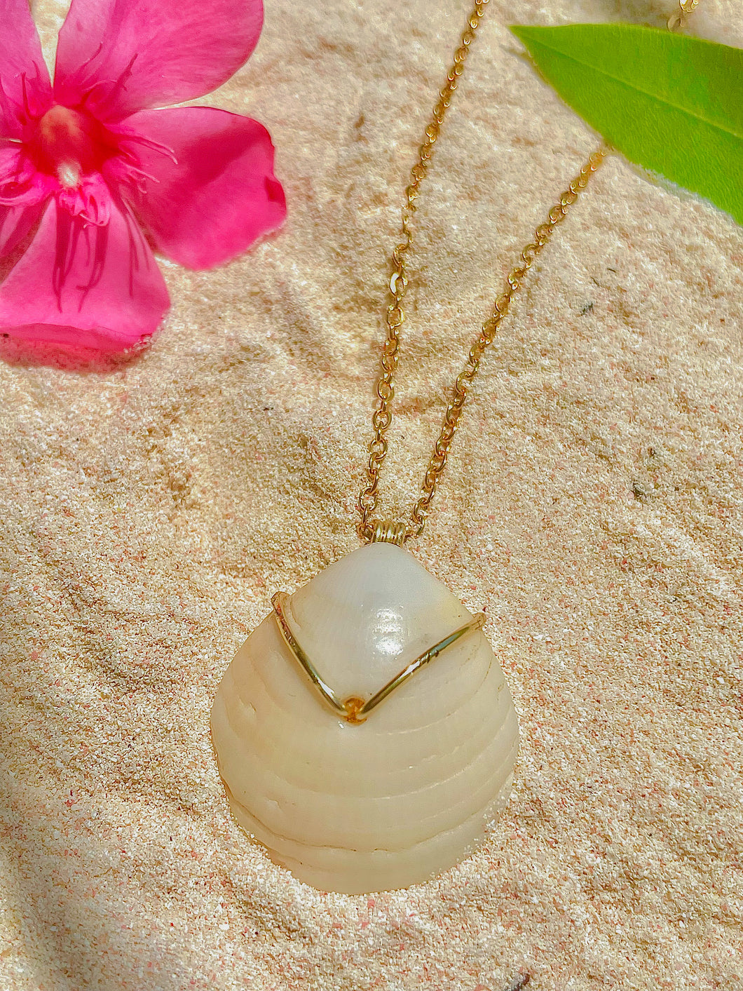 Natural Bermuda Shell Necklace (medium)