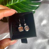 Celine Earrings