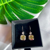 Celine Earrings