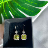 Celine Earrings